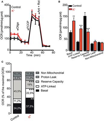 Mitochondrial Calcium Increase Induced by RyR1 and IP3R Channel Activation After Membrane Depolarization Regulates Skeletal Muscle Metabolism